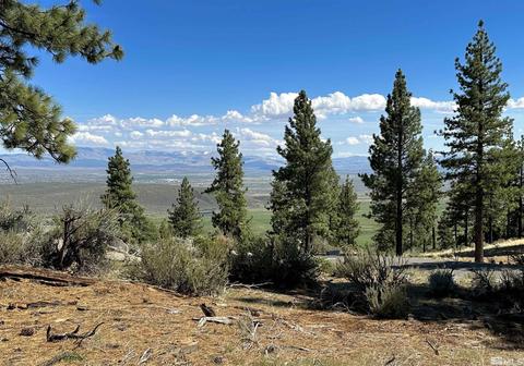 220 Overlook Drive, Carson City
