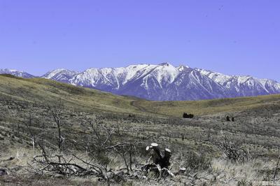 TBD parcels at Pine Nut Creek area