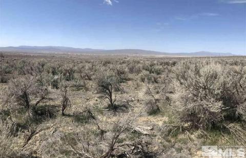 11155 Beaumont Trail, Lovelock