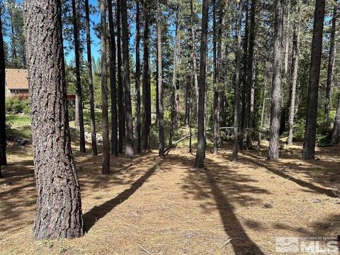 546 Pleasant Valley Road, Markleeville
