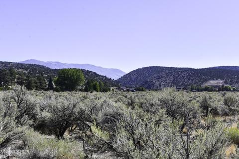 330 Veris Court #1, Gardnerville
