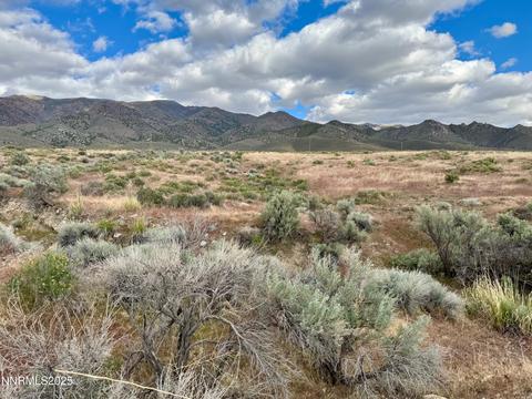 22080 Scout Court, Lovelock