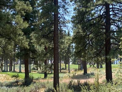 245 Redding Way #226
