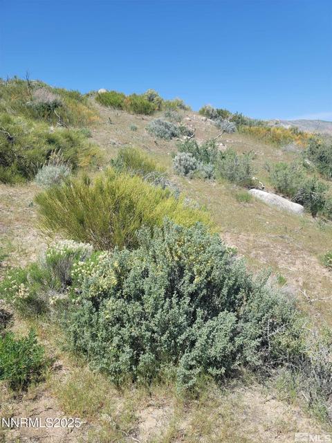 525 Prairie Dog, Reno