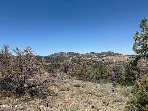 3960 Stovepipe Road #396, Reno