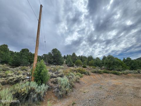 21915 Panhandle Road, Reno