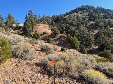 0 Buckeye, off of Road, Virginia City