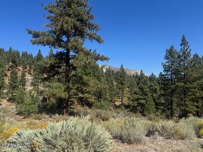 3521 Cutoff Trail #14
