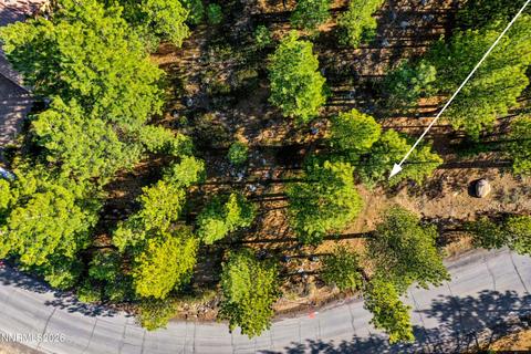 1205 Douglas Fir Drive, Reno