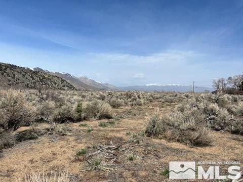 Lot X3 US Highway 395, Coleville