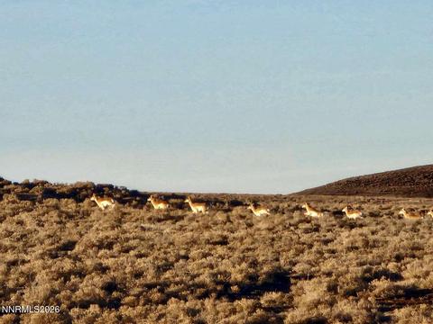 0 Bird Ranch Road, Crescent Valley