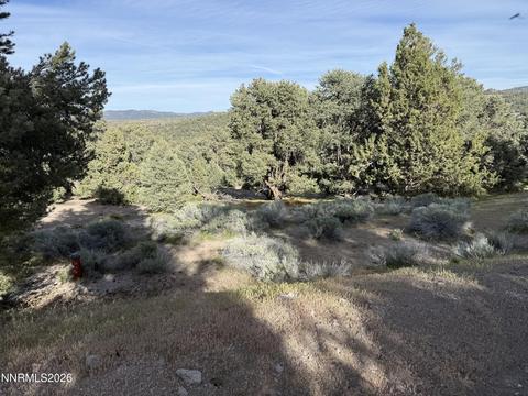 2221 Bulette Road, Reno