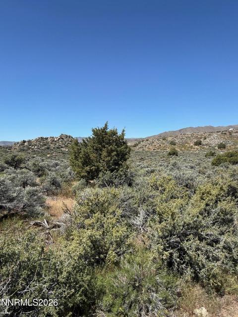 1325 Antelope Valley Road, Reno