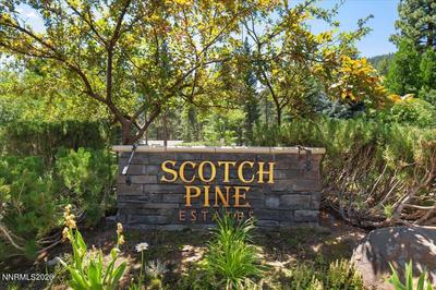 279 E Jeffrey Pine Road