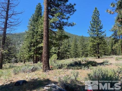 3584 Knob Point Trail, Carson City