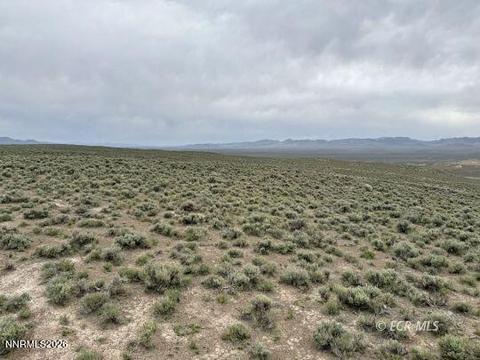 6.6 Pine Street, Elko