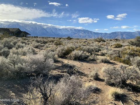 1290 Jo Lane, Gardnerville