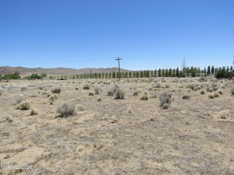 603 Pete Hendrichs Road, Yerington