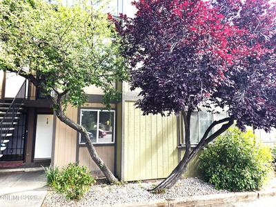 2345 Tripp Drive #7