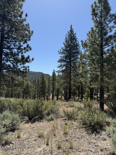 205 Haskell Mill Court, Carson City