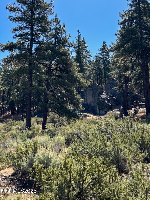 570 Headwaters Way, Carson City