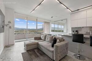 100 N Arlington Avenue #22H