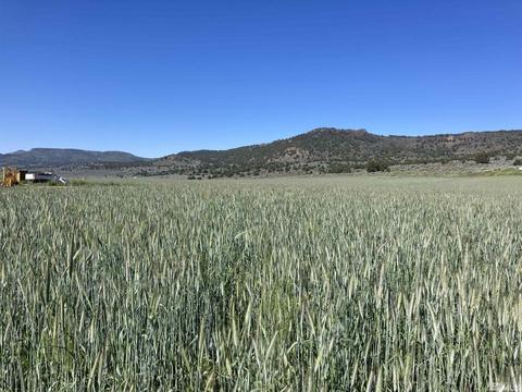11069 Mosquito Road, Gerlach