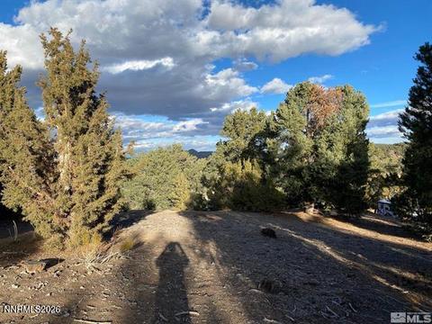 21650 Palamino Road, Reno