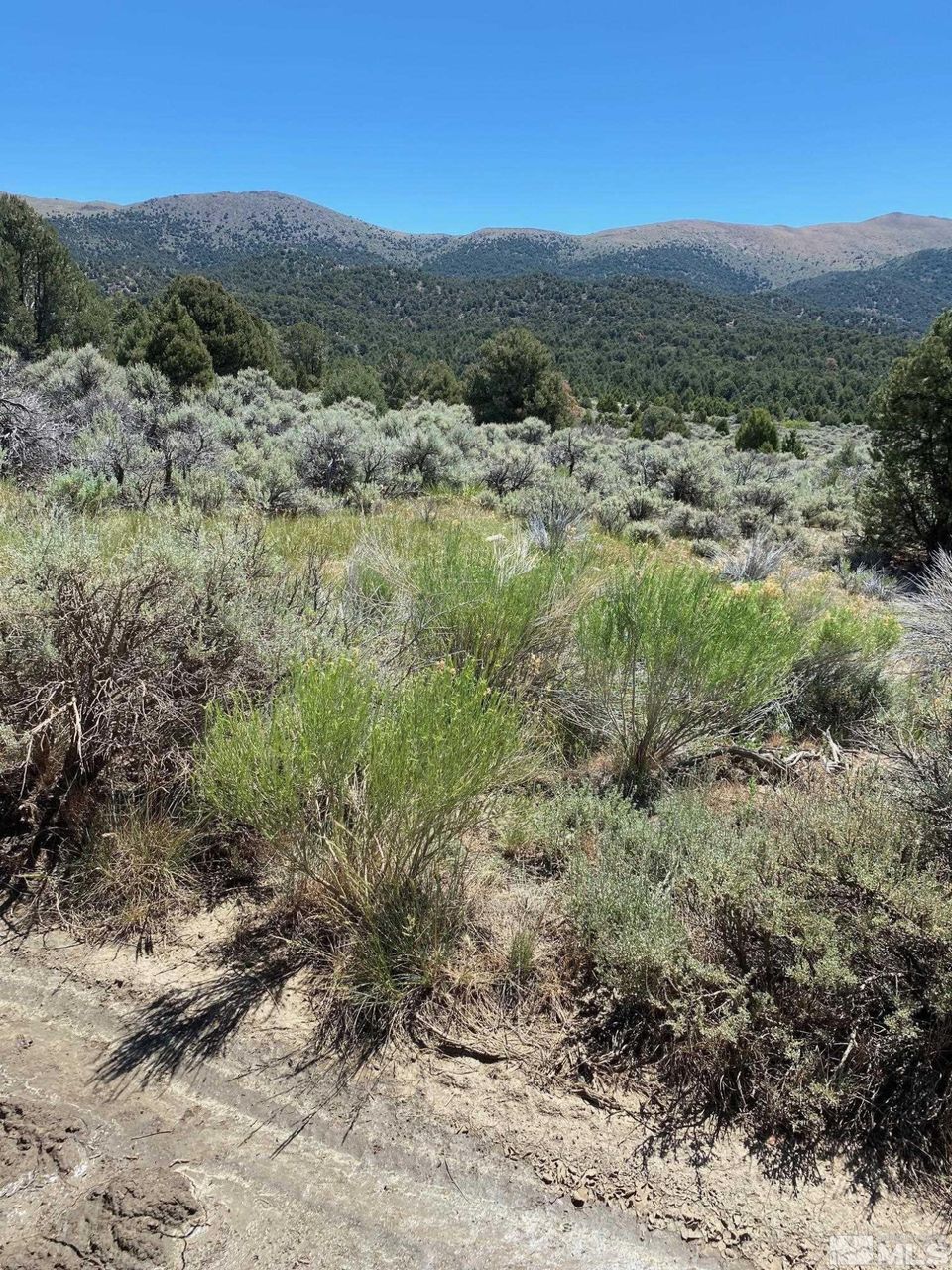 tbd El Dorado Canyon