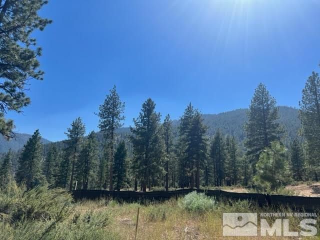 3582 Knob Point Trail #100
