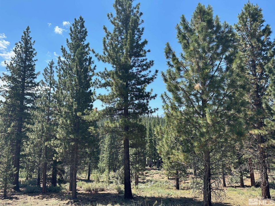 Lot 2 Raymond View