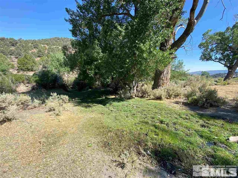 Virginia City Ranch