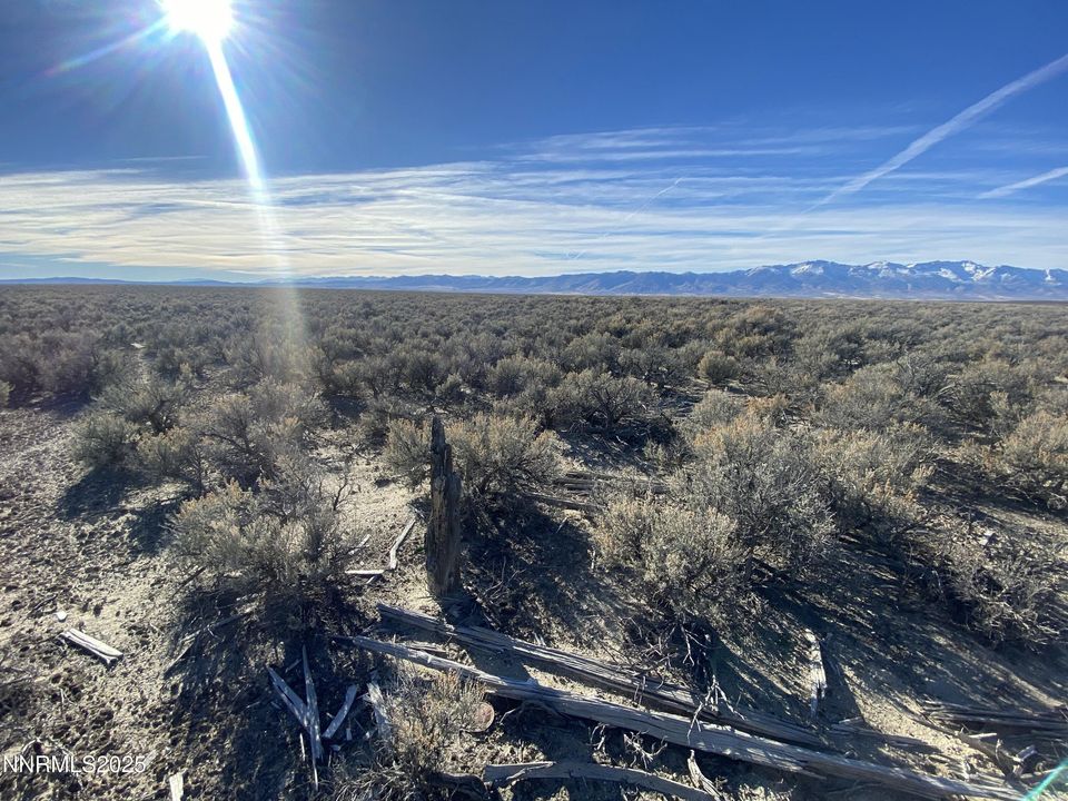 160 Acres S. of Wells NV Road