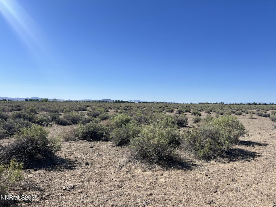 160 Acres Off of McGregor