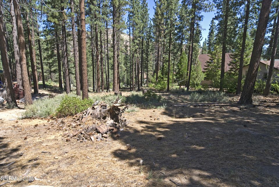 50 Pinon Road