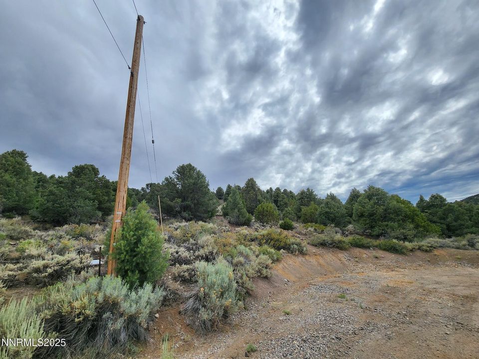 21915 Panhandle Road