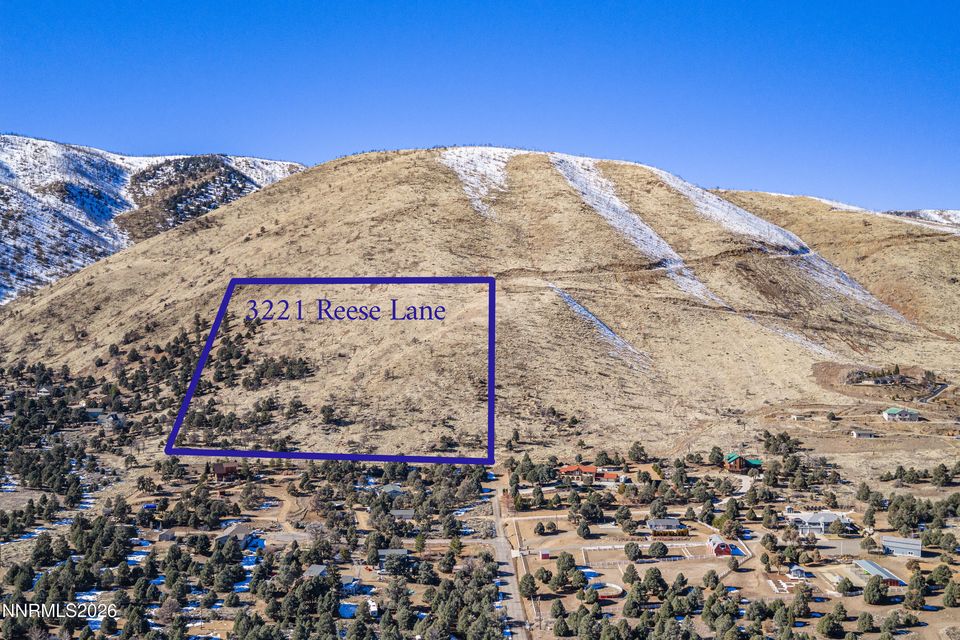 3221 Reese Lane