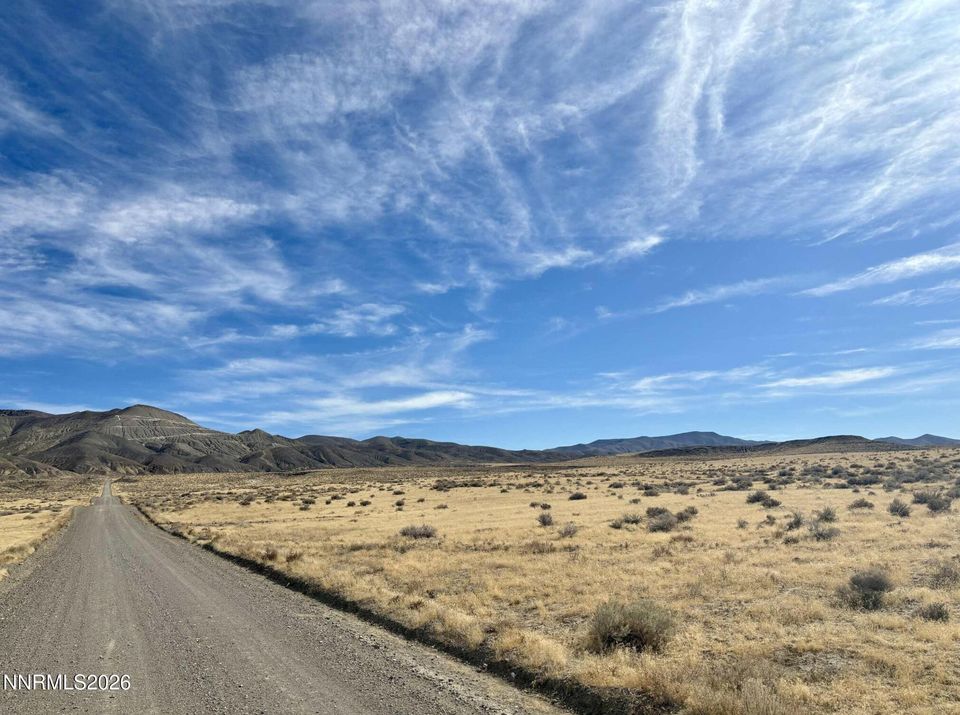 637 Acres Lovelock Section